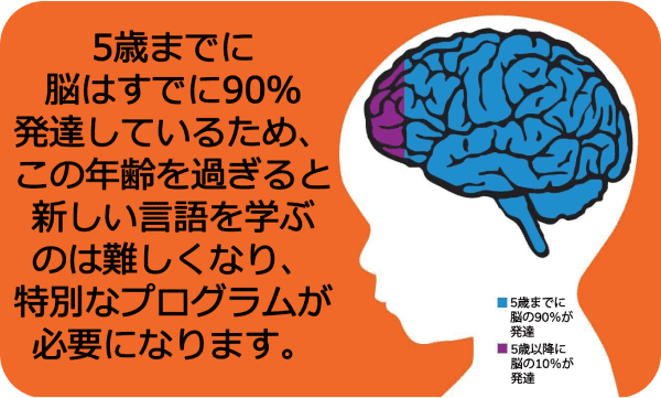 子どもの脳の発達は90％5歳までに起こる